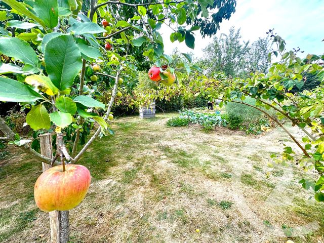 maison à vendre - 7 pièces - 138.0 m2 - LA CROISILLE SUR BRIANCE - 87 - LIMOUSIN - Century 21 Atrium Immobilier