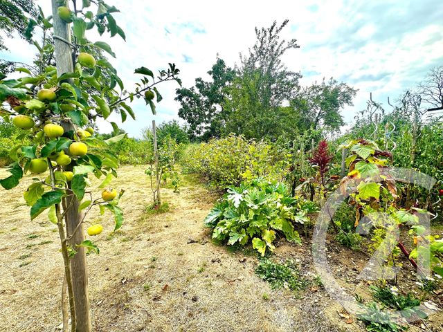 maison à vendre - 7 pièces - 138.0 m2 - LA CROISILLE SUR BRIANCE - 87 - LIMOUSIN - Century 21 Atrium Immobilier