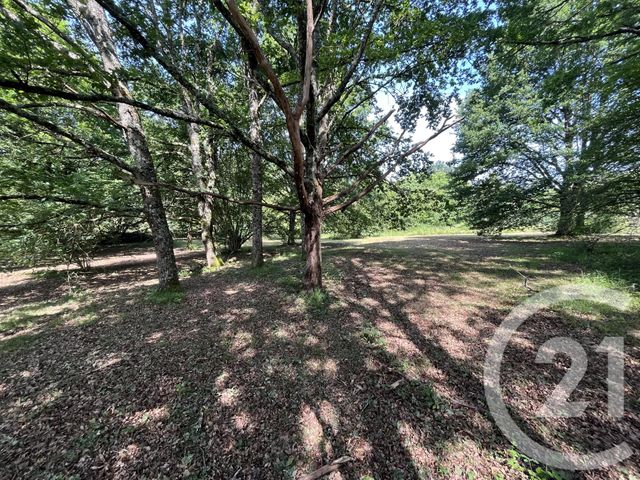 terrain à vendre - 3204.0 m2 - PANAZOL - 87 - LIMOUSIN - Century 21 Atrium Immobilier