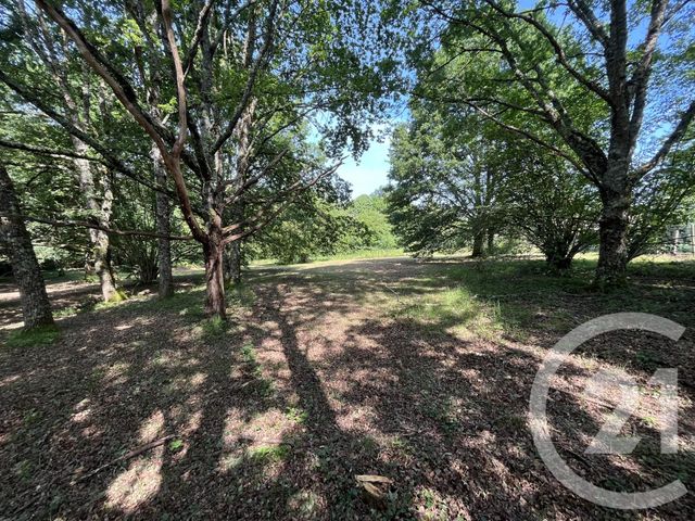 terrain à vendre - 3204.0 m2 - PANAZOL - 87 - LIMOUSIN - Century 21 Atrium Immobilier