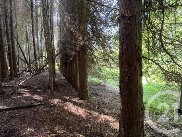 terrain à vendre - 3207.0 m2 - PANAZOL - 87 - LIMOUSIN - Century 21 Atrium Immobilier