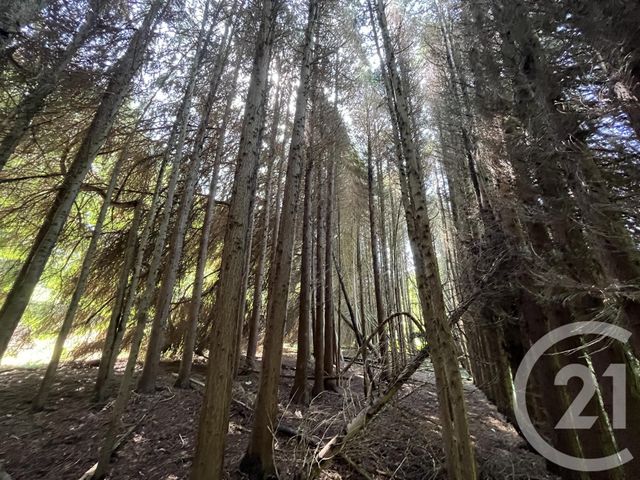 terrain à vendre - 3207.0 m2 - PANAZOL - 87 - LIMOUSIN - Century 21 Atrium Immobilier