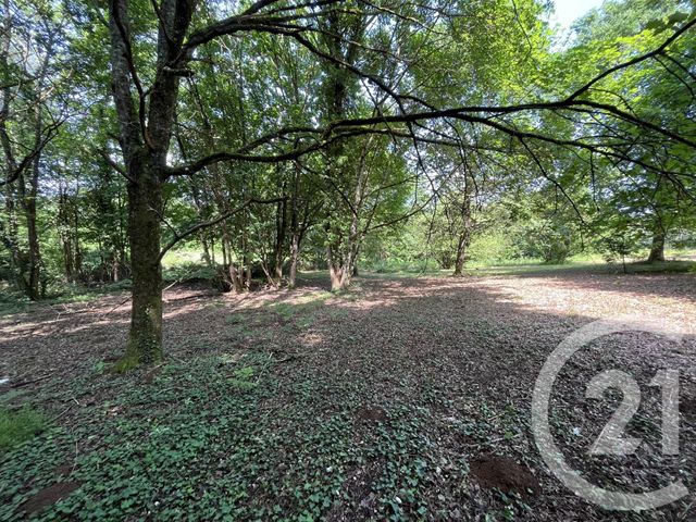terrain à vendre - 3207.0 m2 - PANAZOL - 87 - LIMOUSIN - Century 21 Atrium Immobilier