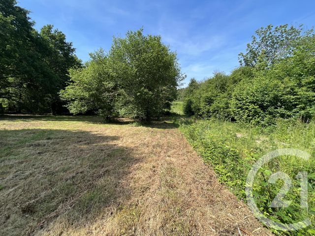terrain à vendre - 3207.0 m2 - PANAZOL - 87 - LIMOUSIN - Century 21 Atrium Immobilier