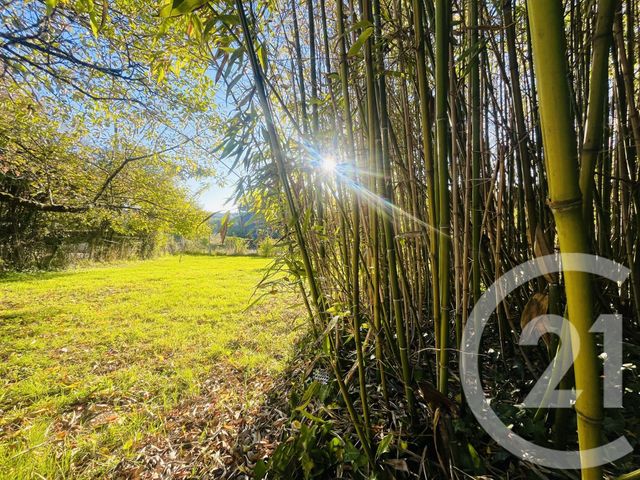 maison à vendre - 7 pièces - 140.58 m2 - VERNEUIL SUR VIENNE - 87 - LIMOUSIN - Century 21 Atrium Immobilier