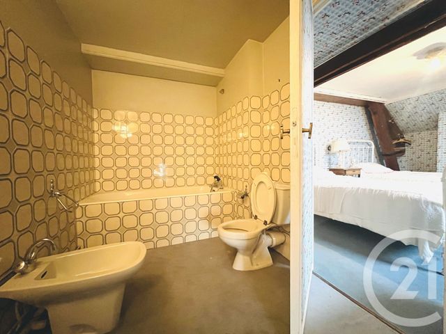 maison à vendre - 13 pièces - 289.27 m2 - CONDAT SUR VIENNE - 87 - LIMOUSIN - Century 21 Atrium Immobilier