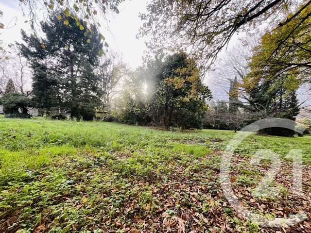 maison à vendre - 13 pièces - 289.27 m2 - CONDAT SUR VIENNE - 87 - LIMOUSIN - Century 21 Atrium Immobilier