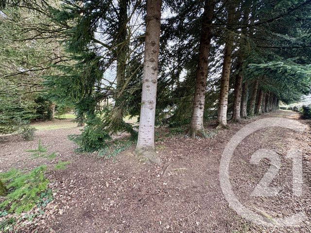 maison à vendre - 7 pièces - 189.16 m2 - ST PRIEST TAURION - 87 - LIMOUSIN - Century 21 Atrium Immobilier