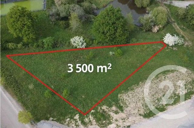 terrain à vendre - 3500.0 m2 - ST JUNIEN - 87 - LIMOUSIN - Century 21 Atrium Immobilier