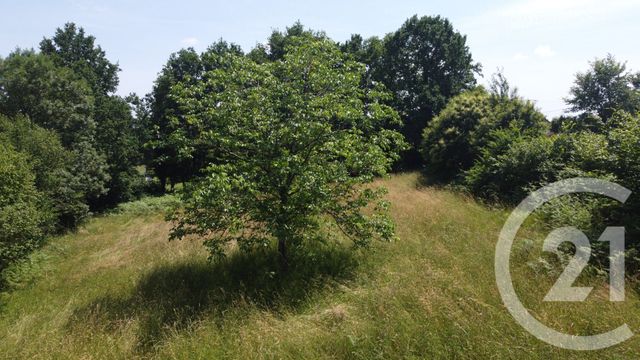 terrain à vendre - 2500.0 m2 - VICQ SUR BREUILH - 87 - LIMOUSIN - Century 21 Atrium Immobilier