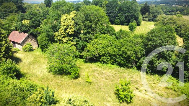 terrain à vendre - 2500.0 m2 - VICQ SUR BREUILH - 87 - LIMOUSIN - Century 21 Atrium Immobilier