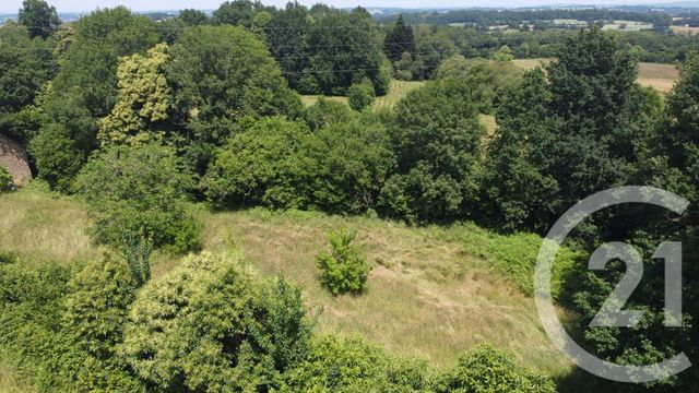 terrain à vendre - 2500.0 m2 - VICQ SUR BREUILH - 87 - LIMOUSIN - Century 21 Atrium Immobilier