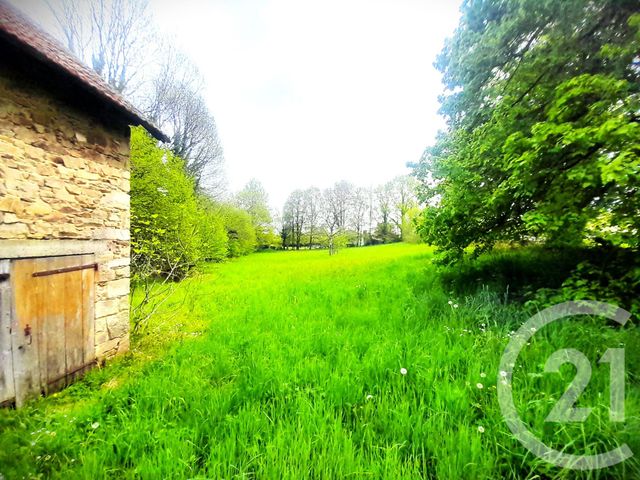 terrain - VICQ SUR BREUILH - 87