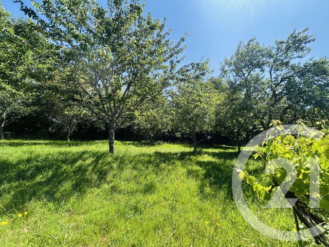 terrain à vendre - 1860.0 m2 - EYJEAUX - 87 - LIMOUSIN - Century 21 Atrium Immobilier