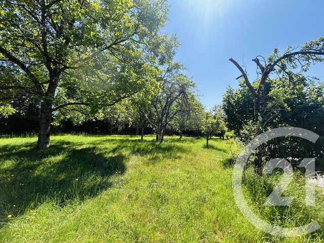 terrain à vendre - 1860.0 m2 - EYJEAUX - 87 - LIMOUSIN - Century 21 Atrium Immobilier