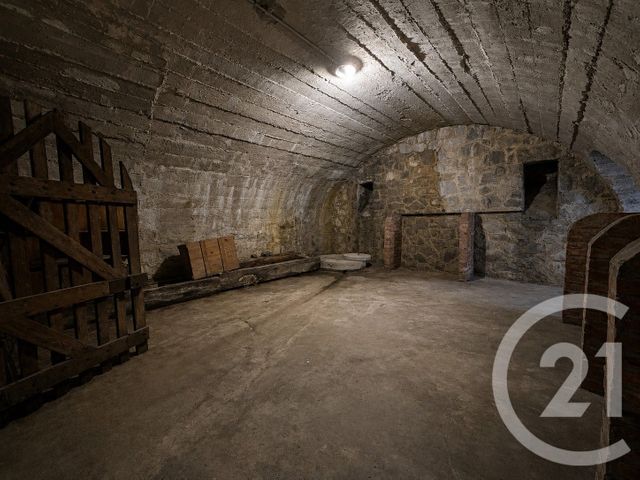 maison à vendre - 20 pièces - 617.0 m2 - LIMOGES - 87 - LIMOUSIN - Century 21 Atrium Immobilier