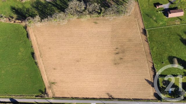 terrain à vendre - 22544.0 m2 - GORRE - 87 - LIMOUSIN - Century 21 Atrium Immobilier