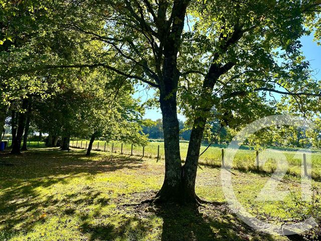 maison à vendre - 7 pièces - 155.0 m2 - AIXE SUR VIENNE - 87 - LIMOUSIN - Century 21 Atrium Immobilier