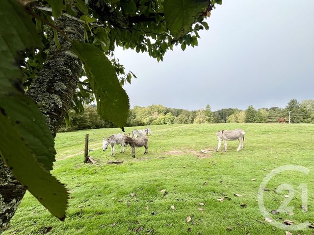 maison à vendre - 5 pièces - 191.42 m2 - ST HILAIRE LES PLACES - 87 - LIMOUSIN - Century 21 Atrium Immobilier