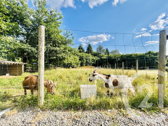 maison à vendre - 6 pièces - 128.12 m2 - AMBAZAC - 87 - LIMOUSIN - Century 21 Atrium Immobilier